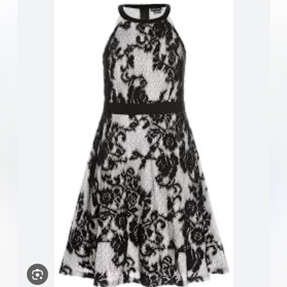 NWT City Chic Pretty Lace dress in black and white
